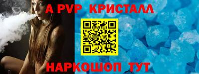 хмурый Кингисепп