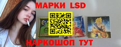 хмурый Кингисепп