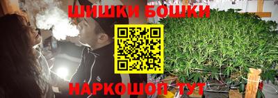 хмурый Кингисепп