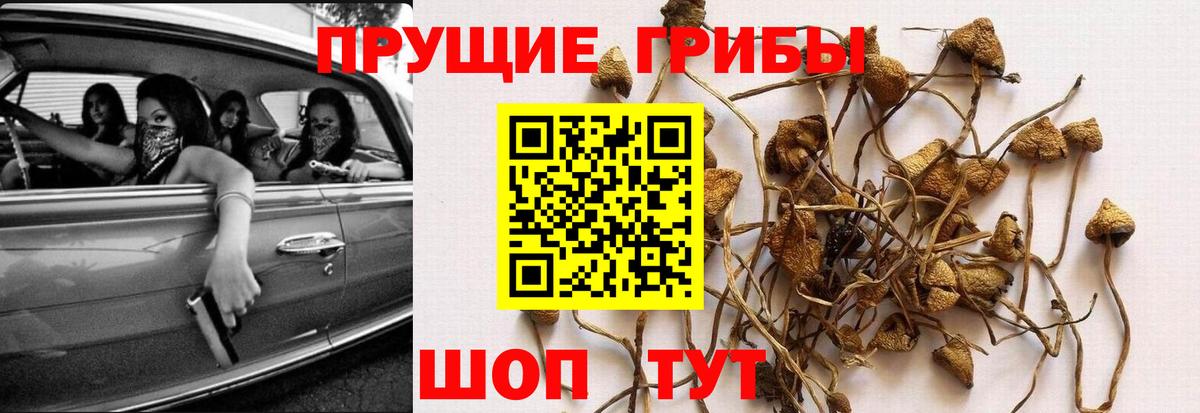 Галлюциногенные грибы Magic Shrooms Якутск