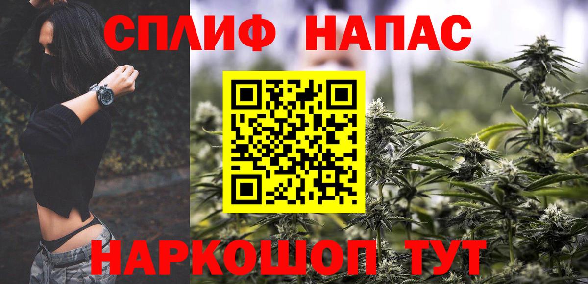 Канабис сатива Якутск
